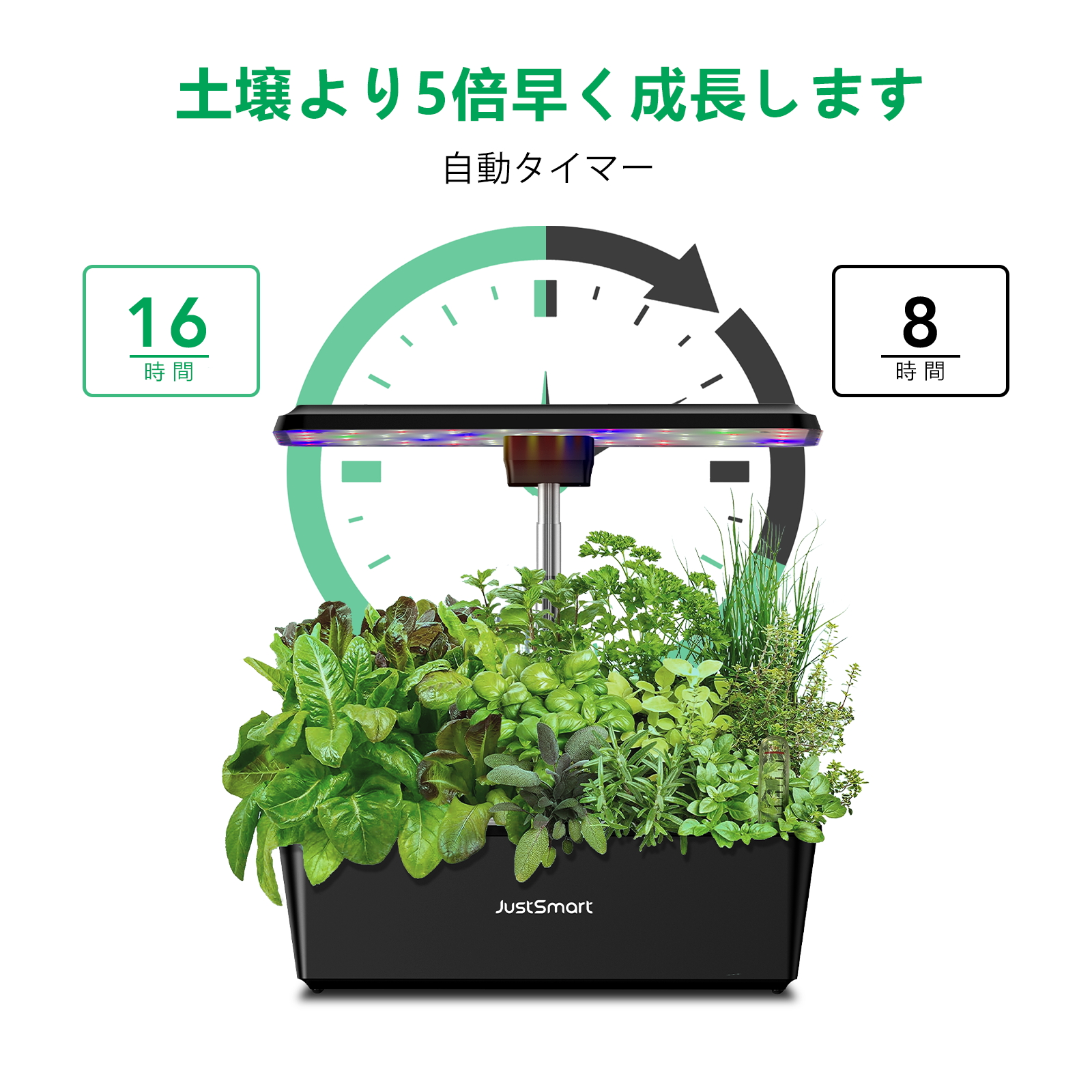 ZIREE 家庭菜園 水耕栽培キット 静音 野菜栽培セット　LEDライト 新品